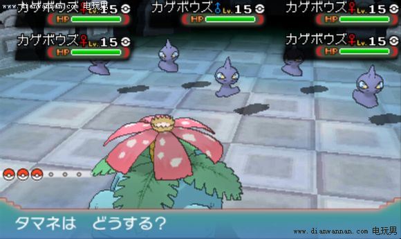 3DS《口袋妖怪ORAS》群战刷努力点地点推荐