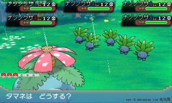 3DS《口袋妖怪ORAS》群战刷努力点地点推荐