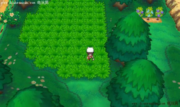 3DS《口袋妖怪ORAS》群战刷努力点地点推荐